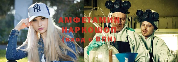 дмт Алзамай