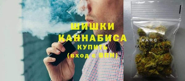 дмт Алзамай